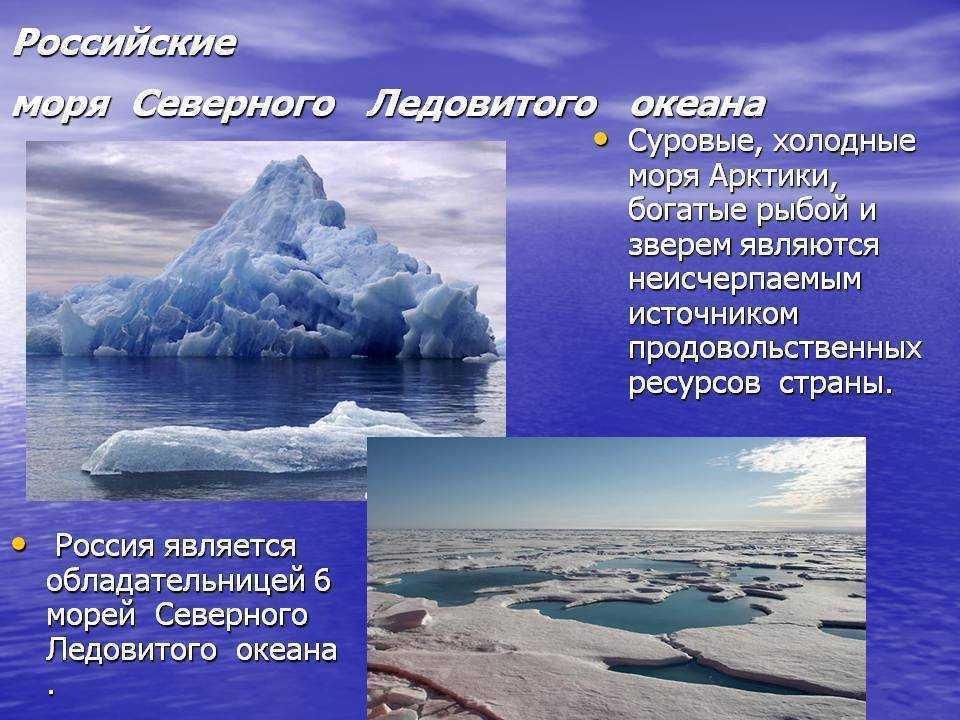 Океан северного ледовитого презентация. Моря Северного Ледовитого океана. Моря северно ледоедовитого океана. Северо Ледовитый океан моря. Российские моря Северного Ледовитого океана.