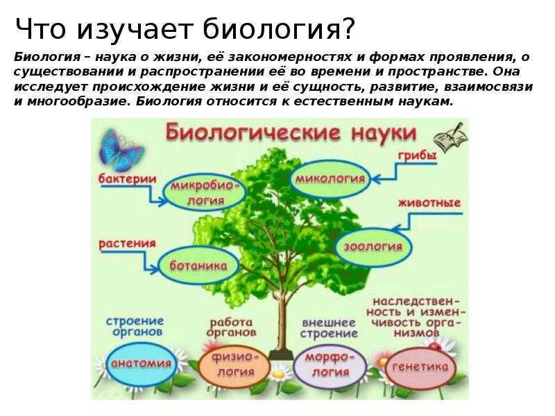 Значение биологии в жизни