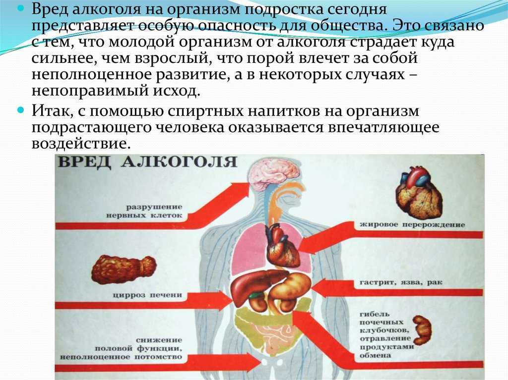 Вред алкоголя для человека презентация