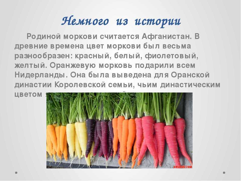 Доклад об овощной культуре