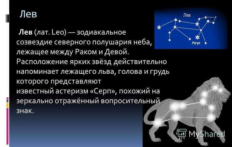 Чем интересно созвездие льва? | мир вокруг нас | школажизни.ру