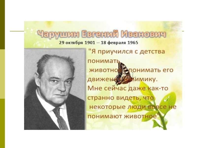 Чарушин е.и. биография художника иллюстратора и детского писателя