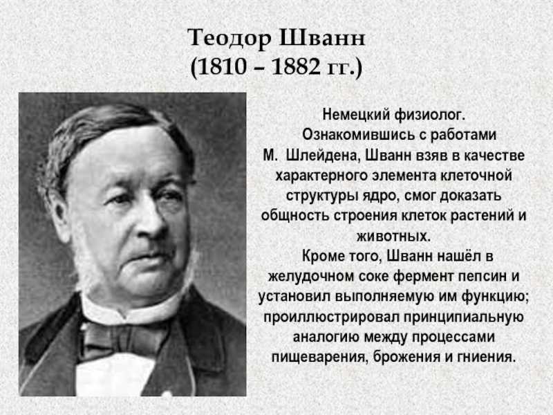 Шванн, теодор, подробная биография