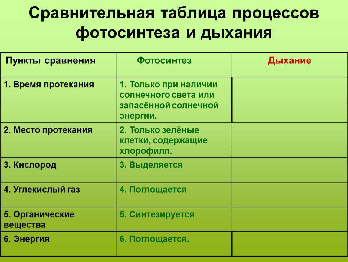 Заполните схему значение фотосинтеза