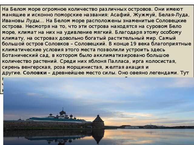 Белое море сочинение. Описание белого моря. Рассказ о белом море. Белое море интересные факты. Белое море информация.