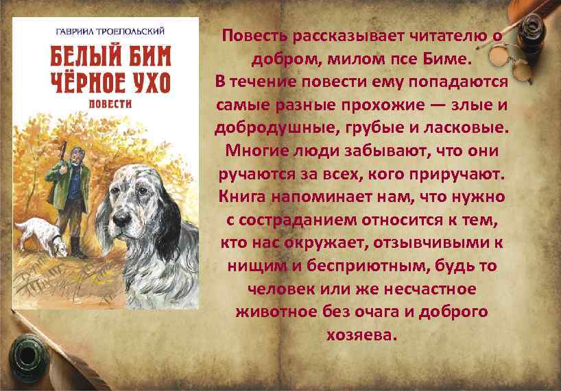 Презентация моя любимая книга белый бим черное ухо