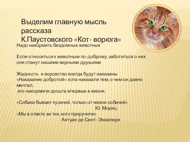 Краткое содержание кот ворюга паустовский для читательского дневника