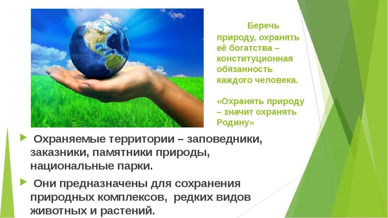 Green peace: чем занимается и за что борется | bankstoday
