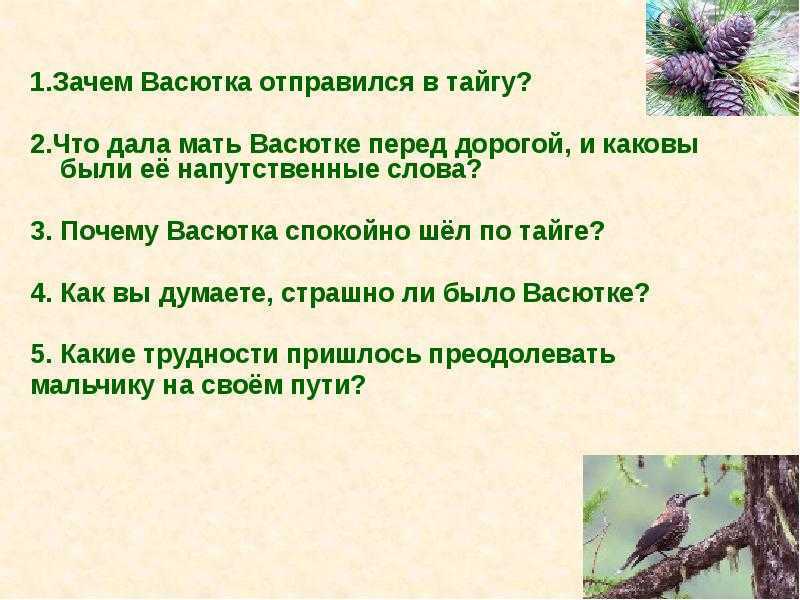 Сочинение по плану как васютка выжил в тайге 5 класс по плану