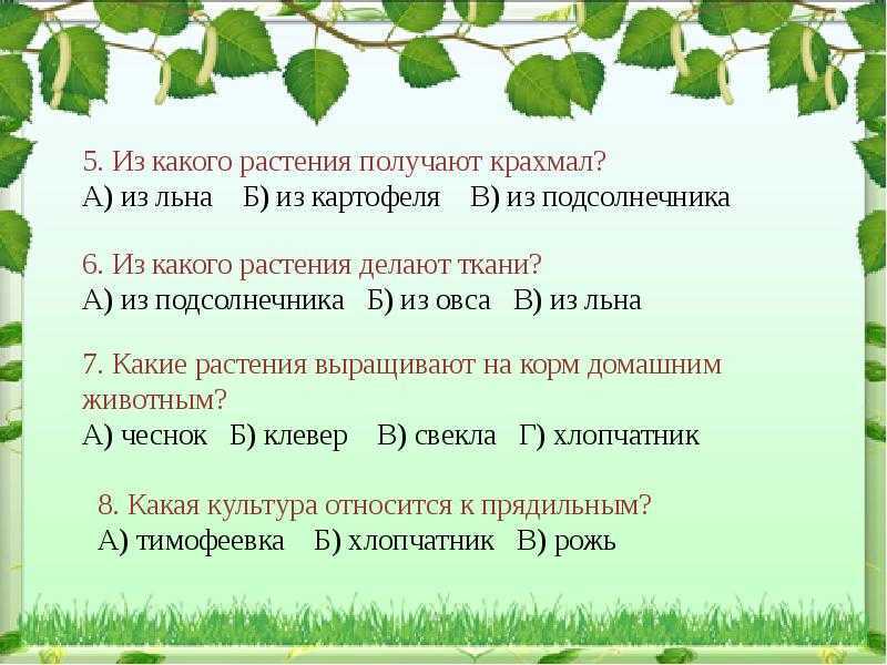 Какие растения выращивают в московской области. Растениеводство 3 класс. Доклад по окружающему миру 3 класс Растениеводство. Растениеводство 3 класс окружающий мир. Плодоводство 3 класс.