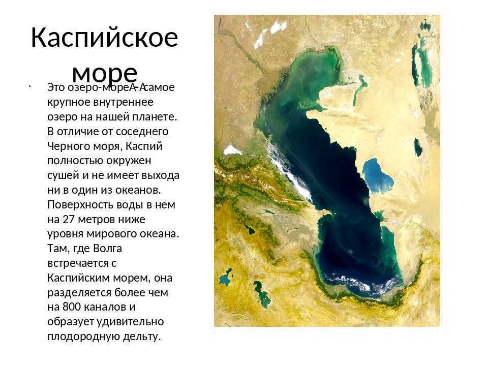 Топ-20 удивительных фактов о каспийском море