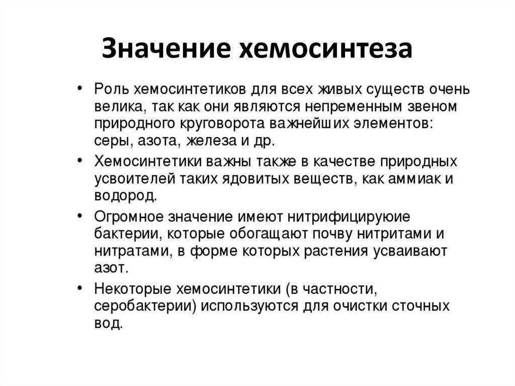 Хемосинтез в биологии - определение, виды, основные процессы, значение