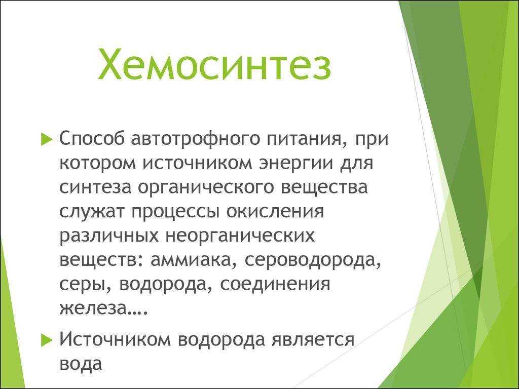 Хемосинтез, значение в биологии, суть процесса, виды и признаки