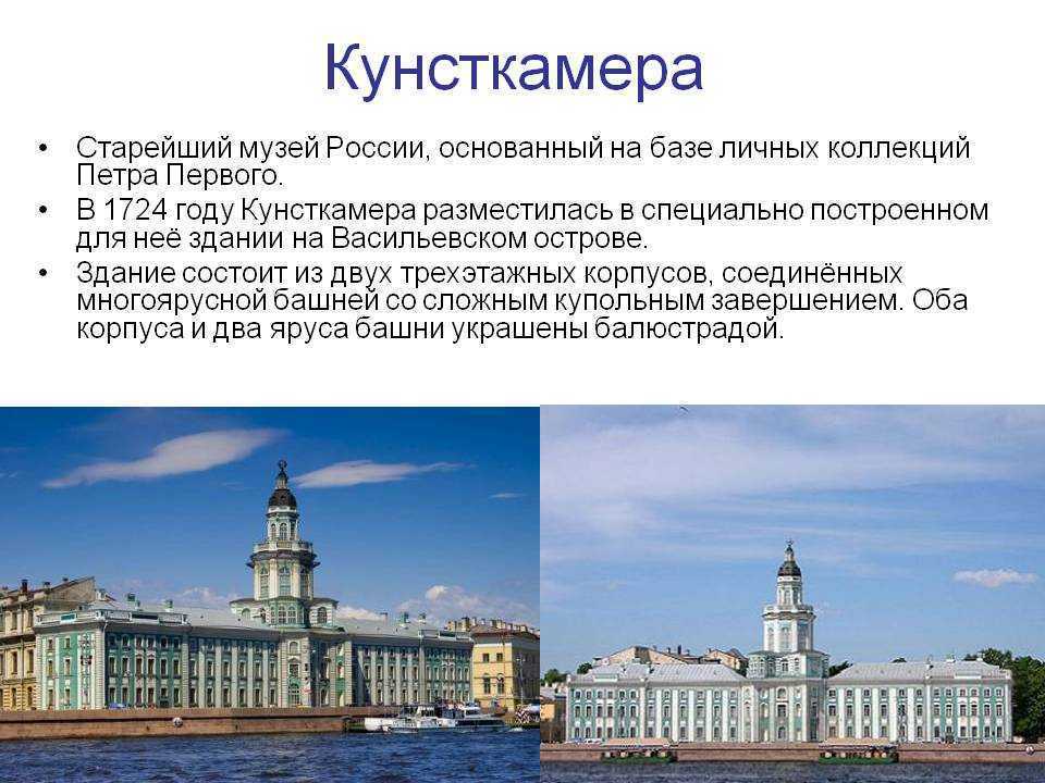 Схема кунсткамеры по залам