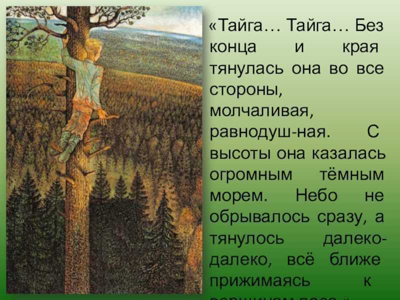 Краткое содержание «васюткино озеро» подробно за 3 минуты