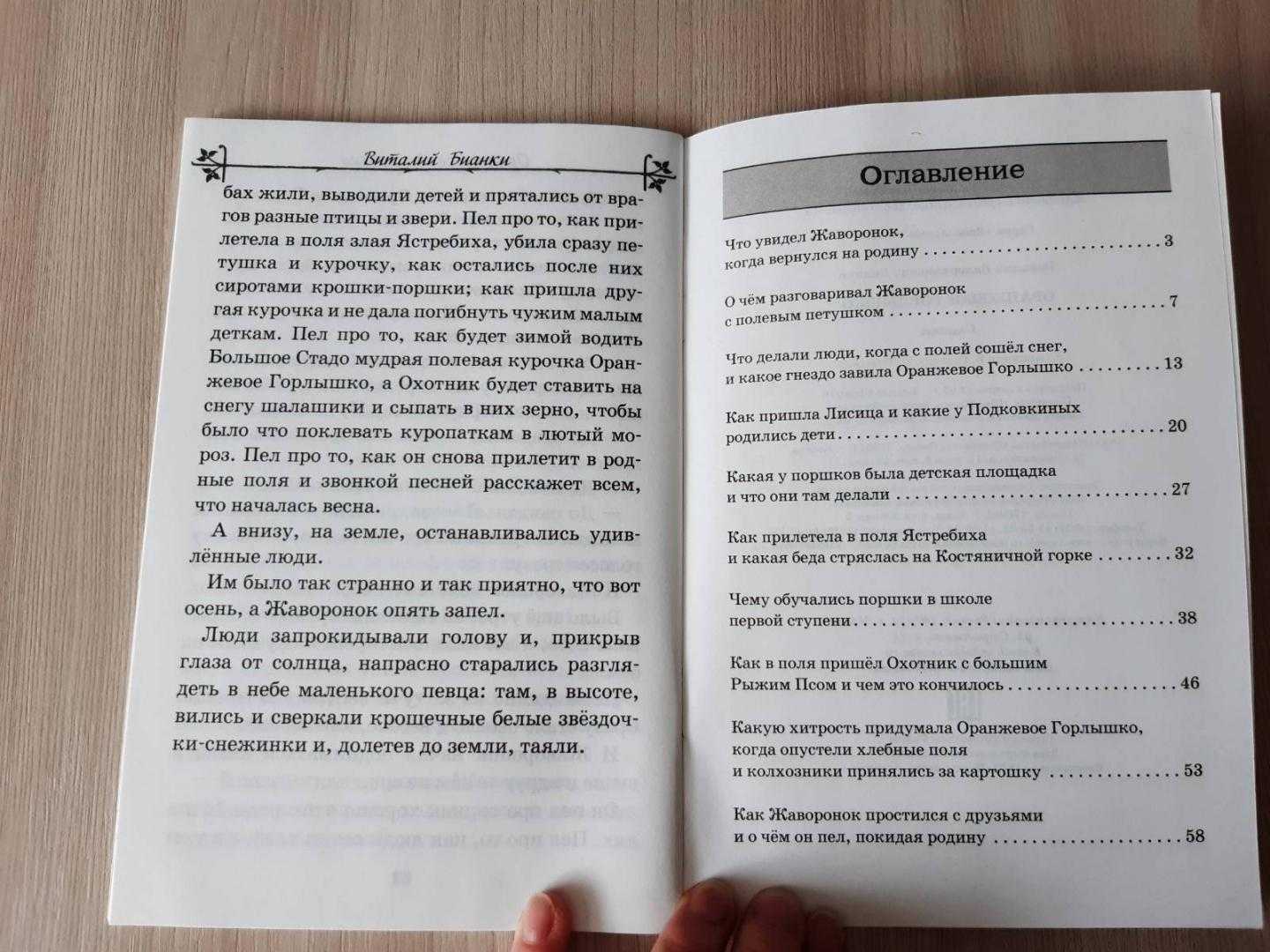 «оранжевое горлышко» бианки: читать краткое содержание для понимания смысла рассказа
