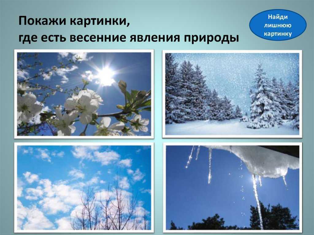 Редкие природные явления, которые сложно объяснить