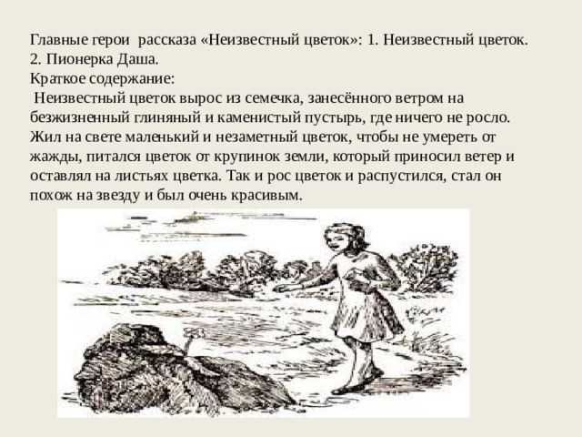 План-конспект урока по русскому языку (7 класс) на тему: анализ сказки-были а.платонова «неизвестный цветок». анализ сказки-были а.платонова «неизвестный цветок».