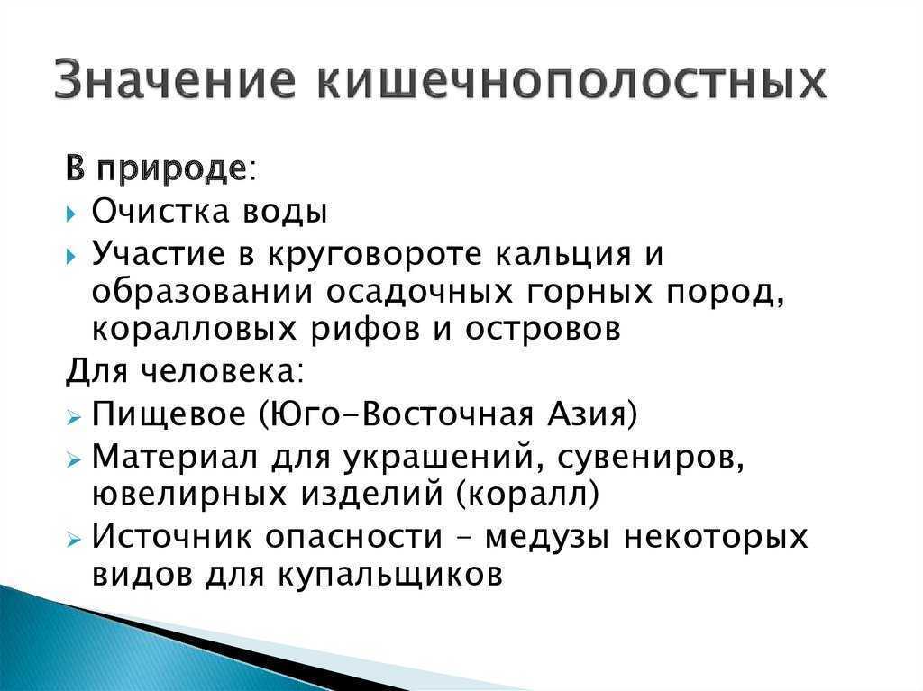 Многоклеточные животные. тип кишечнополостные