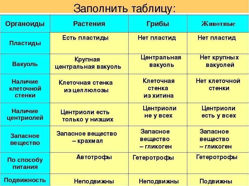 Почему одноклеточные грибы не содержат хлоропластов ?, биология