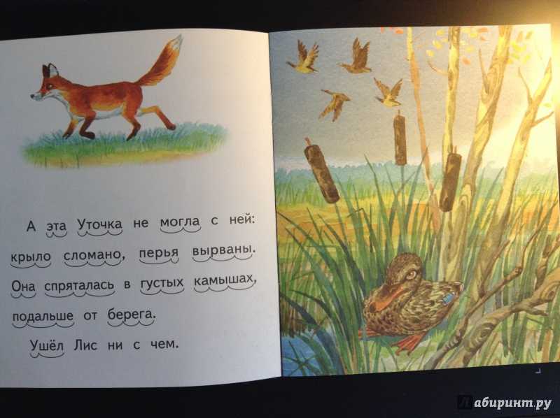 Житков борис сказка  «храбрый утенок»