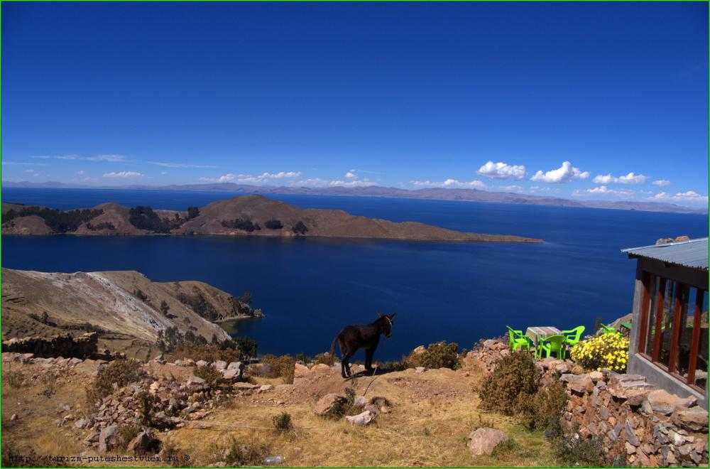 На каком материке расположено самое высокогорное озеро. Озеро Титикака. Высокогорное озеро Титикака. Самое крупное высокогорное озеро (Титикака).. Озеро Титикака климат.