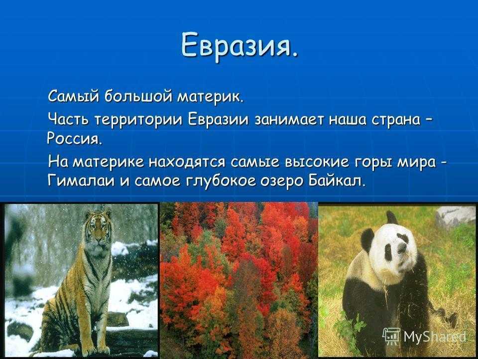 Растения и животные евразии презентация