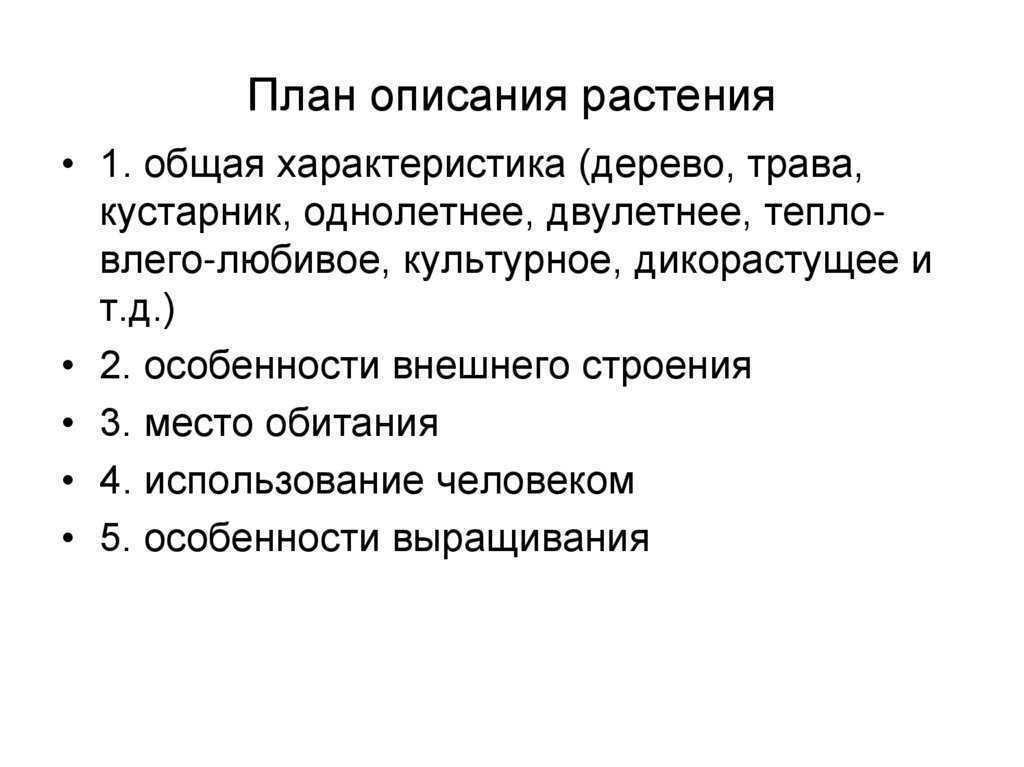 Дайте характеристику плана. План описания цветка растения. Плун описаниерастения. План описания растения 2 класс. План описания цветков.