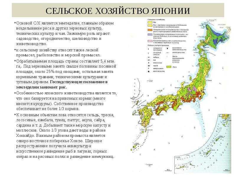 Общая характеристика японии