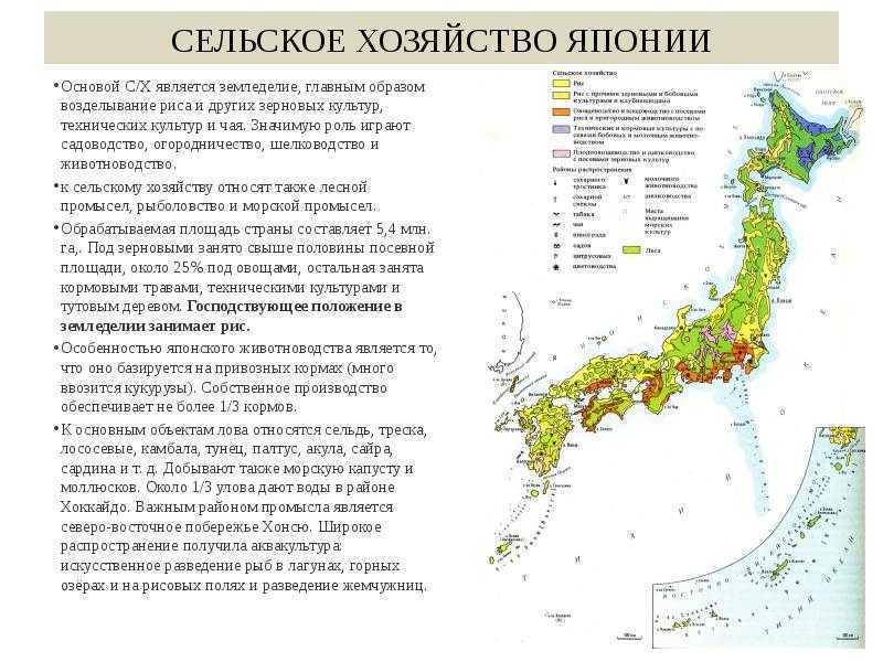 Описание японии по плану