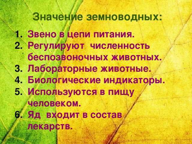 Роль амфибии. Значение земноводных. Значение земноводных в природе и жизни человека. Значение земноводных в природе. Роль земноводных в природе.