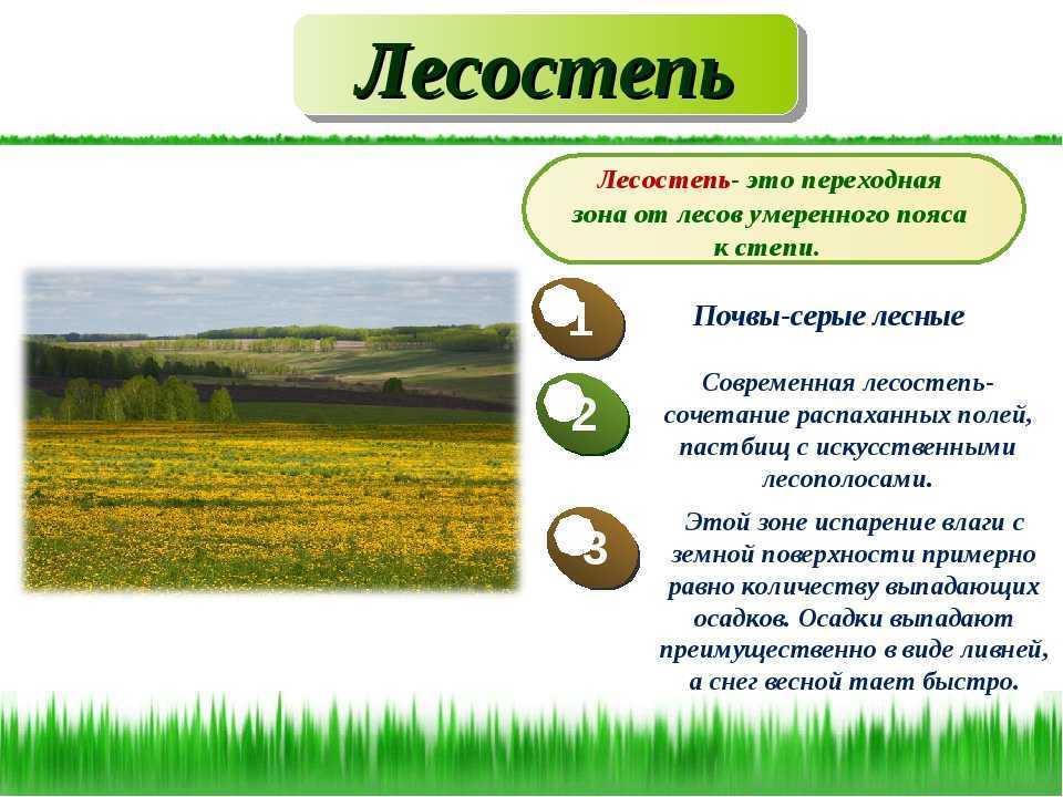 Географическое положение лесостепей и степей в россии. Характеристика лесостепи и степи. Лесостепная зона природные условия. Природные условия лесостепи. Зоны лесостепей и степей.