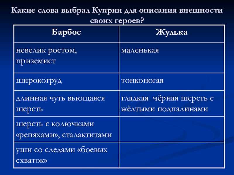 План по рассказу барбос и жулька в сокращении