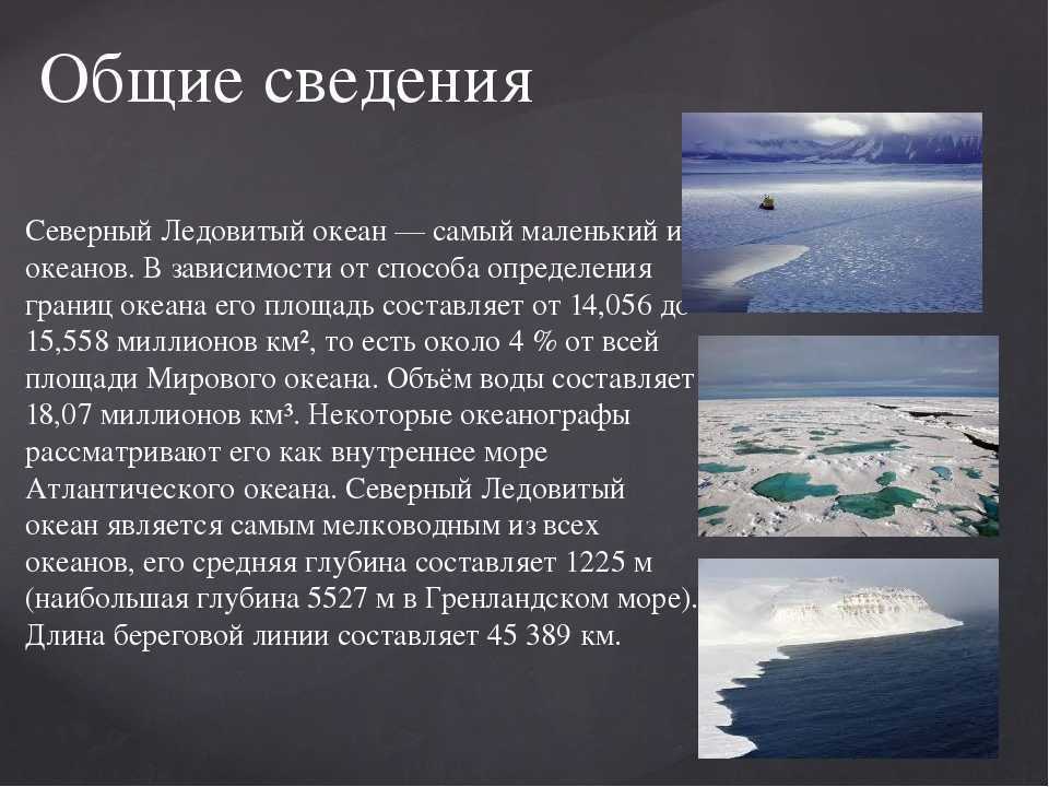 Океан северного ледовитого презентация. Краткое описание Ледовитого океана. Описание Северного Ледовитого океана. Сообщение о Северном Ледовитом океане. Максимальная глубина Ледовитого океана.