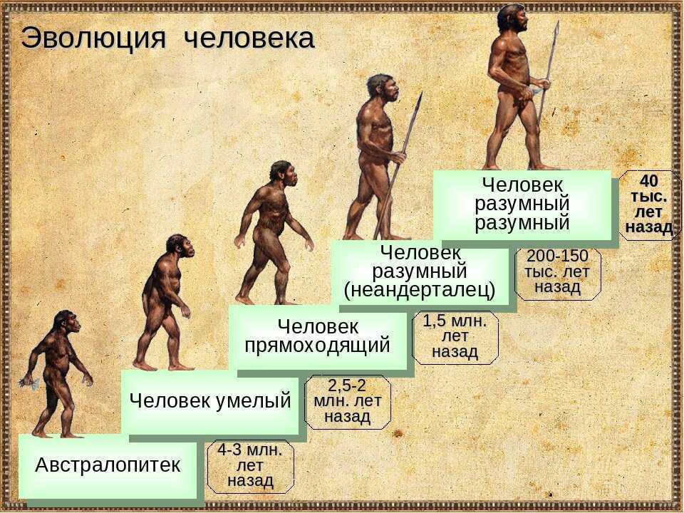 Невозможность на данный момент составить полную картину возникновения человека от диких предков