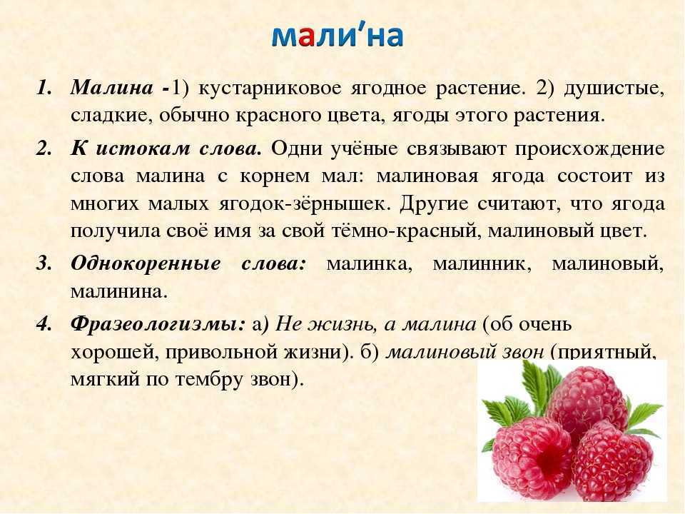 Бабушка с малиной составить план