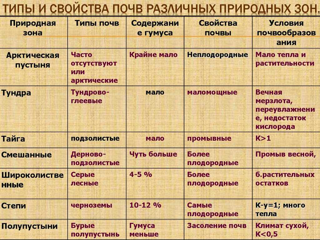 Составьте описание одной из природных зон лесного пояса россии используя план приложения 8 класс