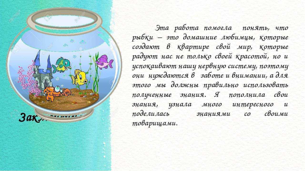 Аквариумные рыбы - фото и название, болезни и лечение, виды хищных, содержание и уход