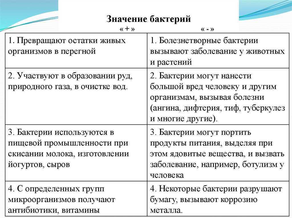 Отразите информацию о роли бактерий в жизни человека в схеме