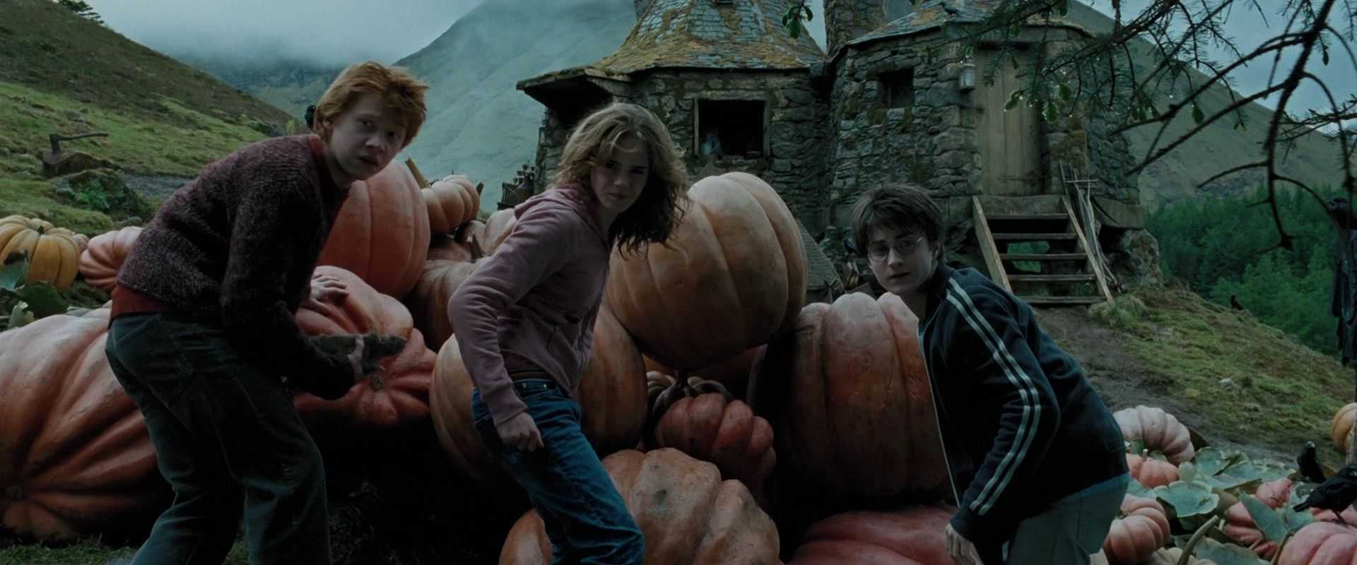 «гарри поттер и философский камень» краткое содержание романа роулинг – читать пересказ онлайн