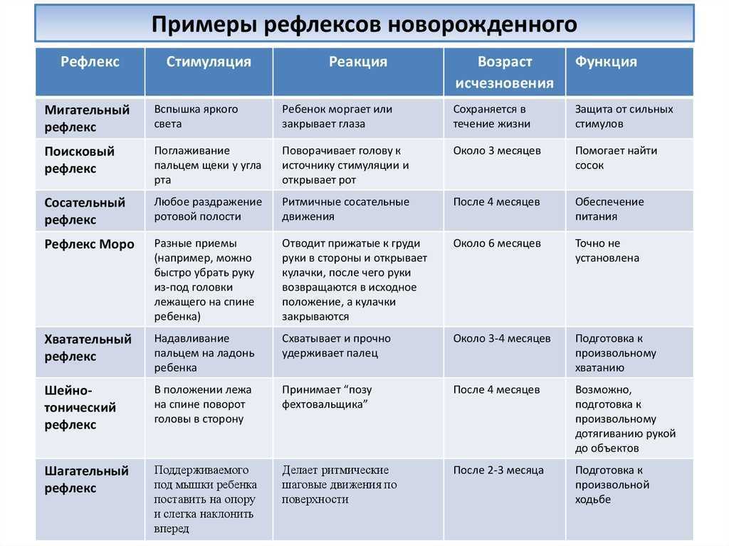 Рефлексы человека | анатомия рефлексов, строение, функции, картинки на eurolab