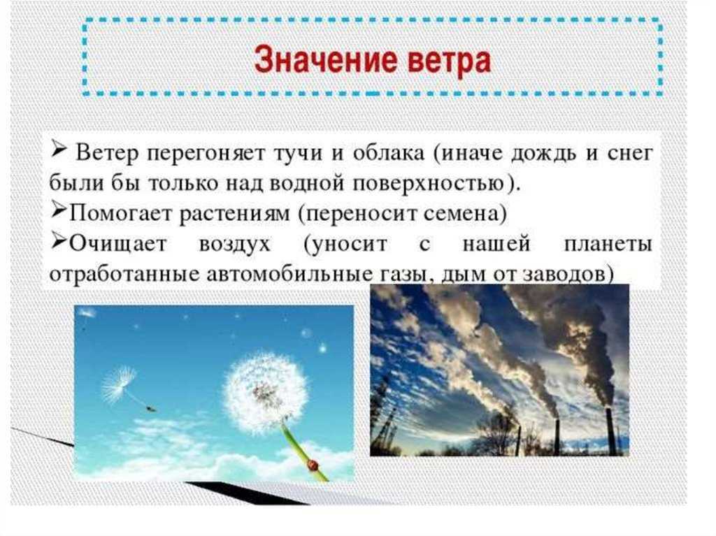 Откуда дует ветер проект