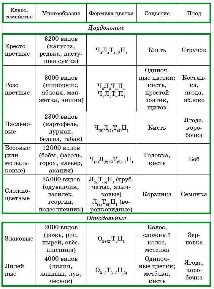 Биология 6 класс кратко основное. Семейство покрытосеменных растений таблица 7 класс. Семейства покрытосеменных растений таблица 6 класс. Характеристика семейств таблица 6 класс биология. Семейство покрытосеменных растений таблица с формулами.