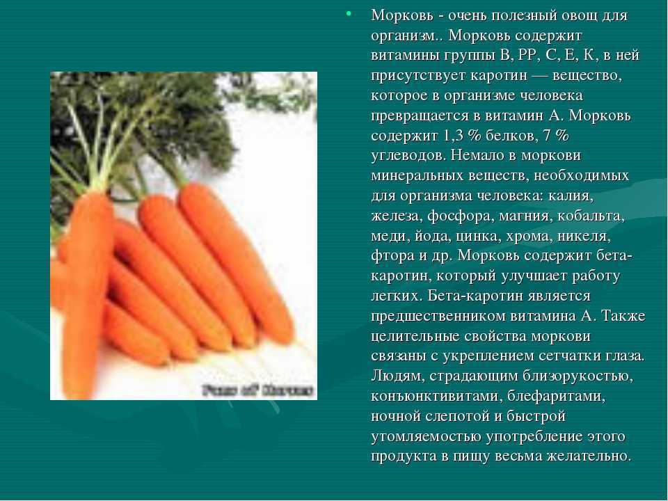 Что такое морковь? история, описание и характеристика этого растения, виды и интересные факты