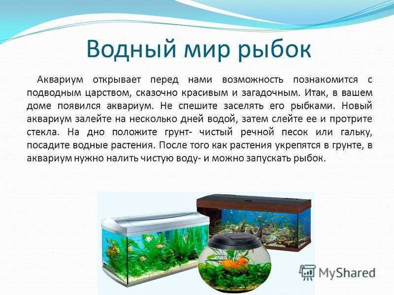 Аквариумные рыбы