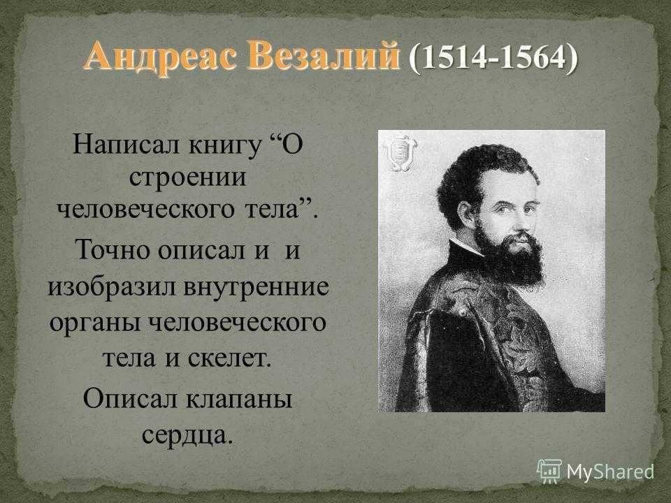 Андреас везалий вклад в анатомию. андреас везалий вклад в биологию кратко