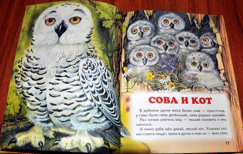 Совенок угадай книгу. Сказка Сова Бианки. Сова с книгой. Сказка про сову для детей. Детские книги о совах и филинах.