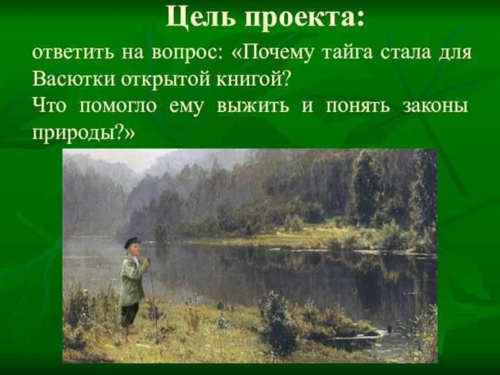 План пути васютки