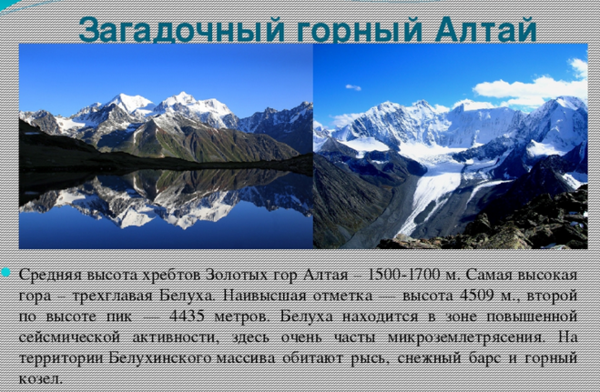 Сообщение про золотые горы алтая ️ географическое положение, характеристика, описание объекта всемирного наследия, интересные факты о животном и растительном мире