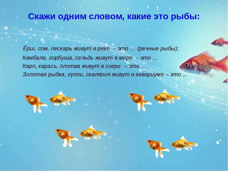 Падеж аквариумные рыбки. Тема недели рыбы. Рыбы для дошкольников. Презентация на тему рыбы. Пресноводные и аквариумные рыбки для дошкольников.